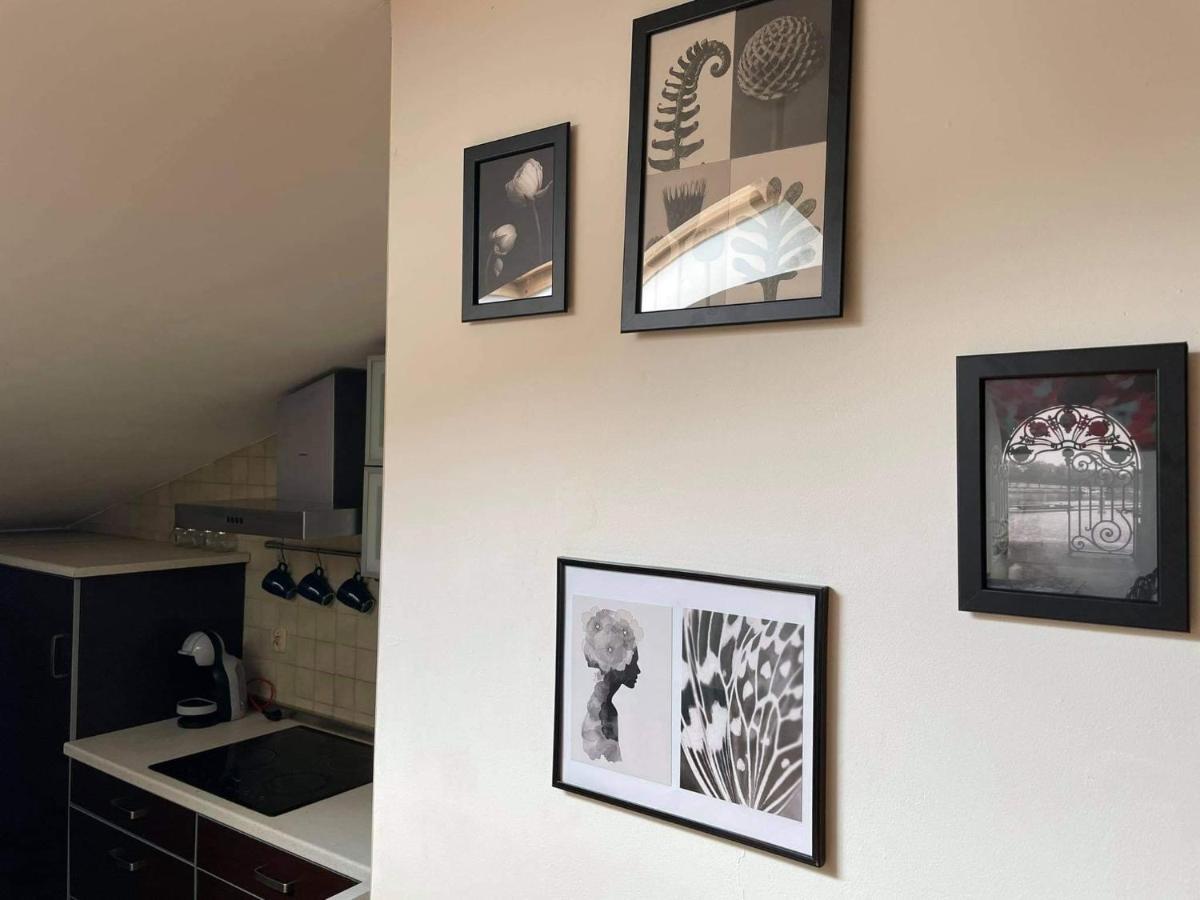 Apartament Studio Nałęczów Dış mekan fotoğraf